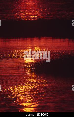 1970er Foto (1972) - Sonnenuntergang über den Salzteichen von leslie (San Francisco Bay Area) Stockfoto