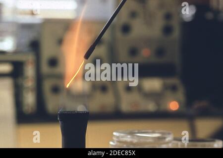 1970er Foto (1972) - EPA Gulf Breeze Laboratory Mikrobiologie Labor. Flammensterilisierendes Gerät wird verwendet, um Bakterien zu isolieren Stockfoto