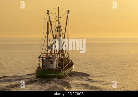 Fischtrawler auf der Nordsee im Abendlicht, Büsum, Schleswig-Holstein, Deutschland Stockfoto