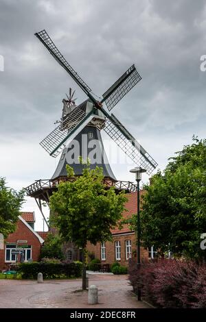 Windmühle Ditzum, Rheiderland, Ostfriesland, Niedersachsen, Deutschland Stockfoto