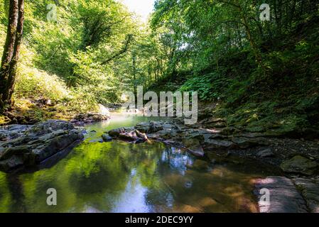 Kleiner Fluss oder Bach im tiefen Wald. Stockfoto