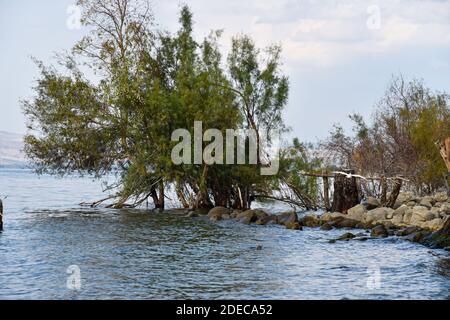 Morgen über dem See von Galiläa und Golan Höhen. Hochwertige Fotos. Stockfoto