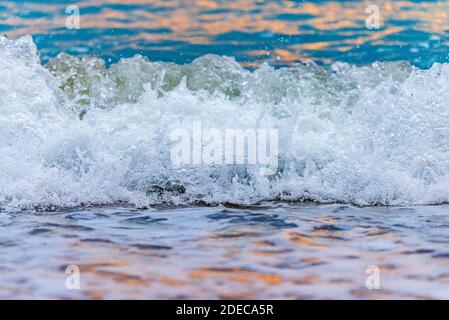 Seashore auf Stein Strand. Nähe zu sehen. Stockfoto