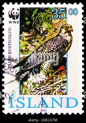 MOSKAU, RUSSLAND - 17. OKTOBER 2020: Briefmarke gedruckt in Island zeigt Gyrfalcon (Falco rusticolus), W.W.F. Serie, um 1992 Stockfoto