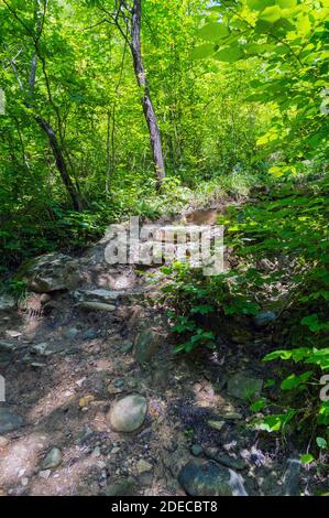 Steintreppe nach oben, Adygeya Republik mit der Sonne scheint durch die Blätter Stockfoto