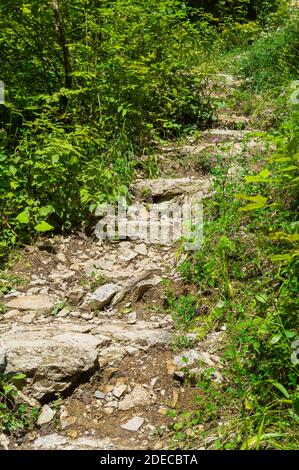 Steintreppe nach oben, Adygeya Republik mit der Sonne scheint durch die Blätter Stockfoto