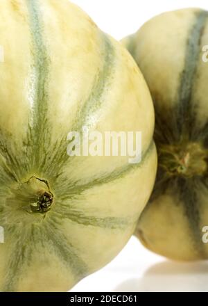 Cavaillon-Melone, Cucumis Melo, Früchte vor weißem Hintergrund Stockfoto