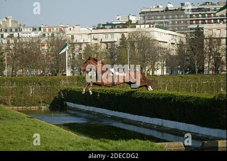 Galopp Pferd Rennen in Auteuil in Frankreich, Pferd springen ohne Jockey Stockfoto