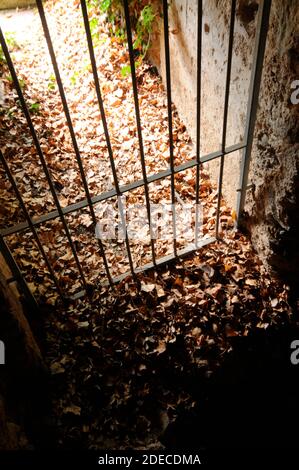 Hinter Gittern, eine Strafe in Haft, Blick auf braune Herbstblätter Stockfoto