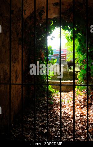 Hinter Gittern, eine Strafe in Haft, Blick auf braune Herbstblätter Stockfoto