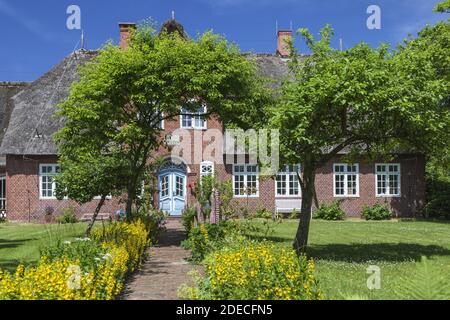 Geographie / Reisen, Deutschland, Schleswig-Holstein, Insel Sylt, friesisches Haus in Westerland, Additional-Rights-Clearance-Info-not-available Stockfoto