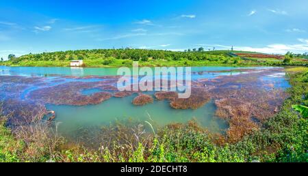 Herbst Seenlandschaft mit Algen und flache, blaue Wasseroberfläche stellt die Ruhe in der Landschaft von Vietnam Stockfoto