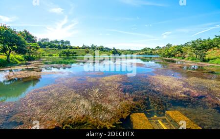 Herbst Seenlandschaft mit Algen und flache, blaue Wasseroberfläche stellt die Ruhe in der Landschaft von Vietnam Stockfoto