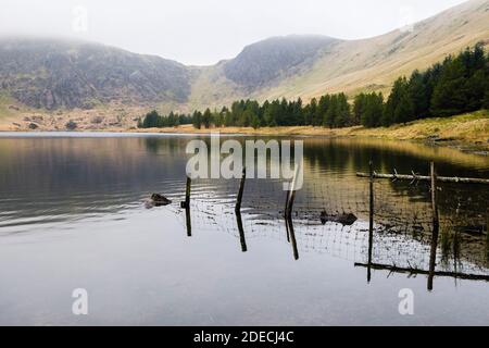 Stilles Wasser des Llynau Diwaunedd abgelegenen See reflektiert Clogwyn Bwlch-y-maen und Carnedd y Cribau mit Bergnebel im Snowdonia National Park. Wales Großbritannien Stockfoto