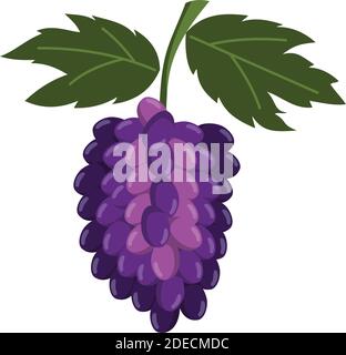 Weintrauben Trauben Obst und Blätter Illustration Stock Vektor