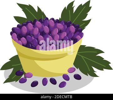 Weintrauben Trauben Obst und Blätter Illustration Stock Vektor