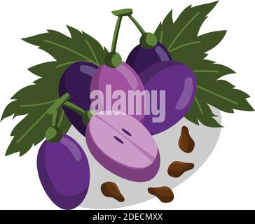 Weintrauben Trauben Obst und Blätter Illustration Stock Vektor