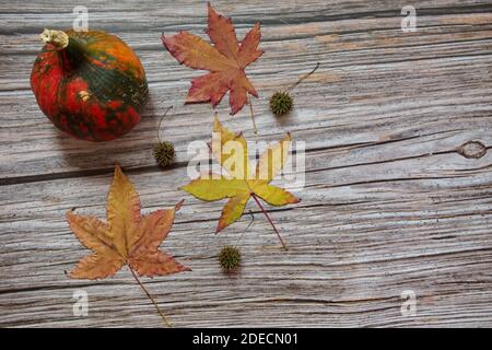 Kürbis und Blätter im Herbst auf hölzernen Hintergrund Stockfoto