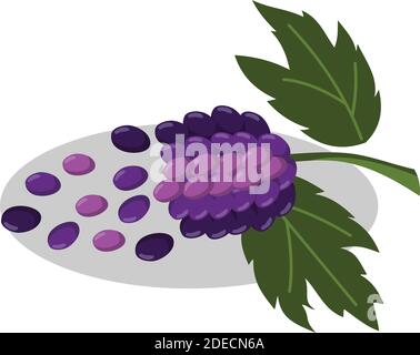 Weintrauben Trauben Obst und Blätter Illustration Stock Vektor