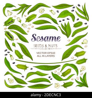 Sesam-Elemente-Set Stock Vektor