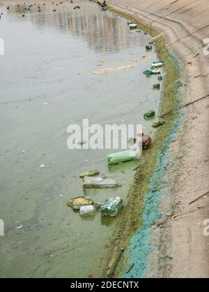 PET-Plastikflaschen und Müll schwimmt auf dem Wasser des Dambovita-Sees (Lacul Morii) in Bukarest, Rumänien Stockfoto