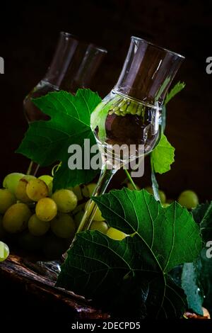 Traditioneller italienischer Wodka, Stillleben im rustikalen Stil, dunkler Holzhintergrund, selektiver Fokus Stockfoto