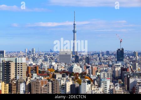 TOKIO, JAPAN - 29. NOVEMBER 2016: Luftaufnahme von Bunkyo ward in Tokio. Tokio ist die Hauptstadt Japans. 37.8 Millionen Menschen leben in der Metro. Stockfoto