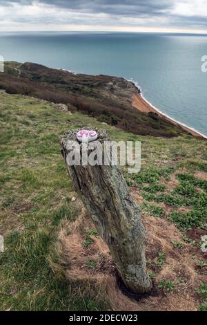 Ich liebe Pebble Left at Gore Cliff mit Blick auf den Ärmelkanal in der Nähe von Blackgang, Isle of Wight Stockfoto