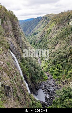 Der mit 200 m geschätzte Schachtelhalm-Wasserfall bei Ellenborough Falls ist der höchste Single Drop Wasserfall in New South Wales, Australien Stockfoto