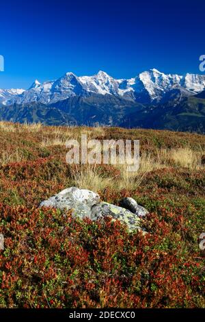 Geographie / Reisen, Schweiz, Schweizer Alpen, Blick vom Niederhorn, Finsteraarhorn (Gipfel), 4274 m, , Additional-Rights-Clearance-Info-not-available Stockfoto