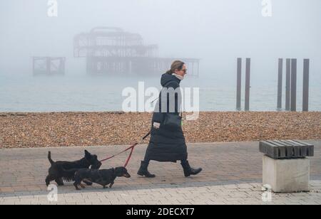 Brighton UK 30. November 2020 - EIN Hundespaziergänger passiert den West Pier an der Strandpromenade von Brighton an einem kalten nebligen Morgen, da wechselhaftes Wetter in ganz Großbritannien in dieser Woche mit Schnee für einige Teile vorhergesagt wird : Credit Simon Dack / Alamy Live News Stockfoto