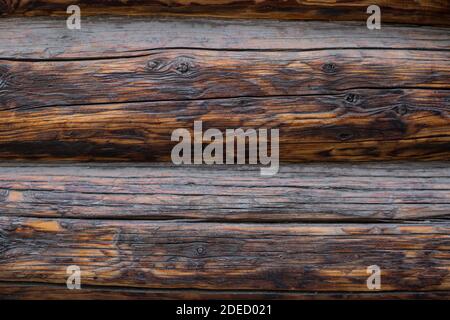 Dunkle Holzwand aus Baumstämmen als Hintergrundstruktur Stockfoto
