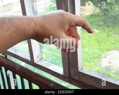 03. juni 2020 Inder 20 Rupien an einer Hand halten Am Fenster weiß Farbe Fensternetz und außen Grün ist Auch im Rahmen Stockfoto