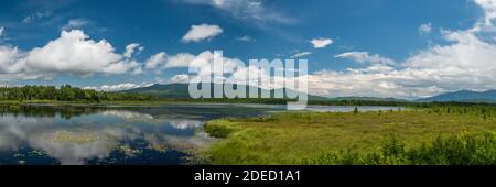 Panoramablick auf Pondicherry Wildlife Refuge, Jefferson, NH Stockfoto