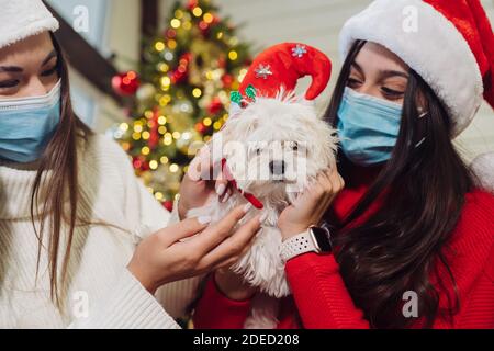 Mehrere Mädchen spielen mit einem kleinen Hund an Neujahr Eve Stockfoto