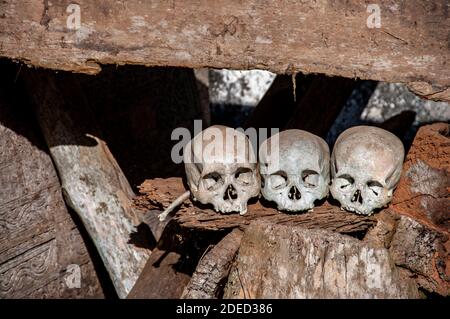 Ahnenschädel und Särge, traditioneller Friedhof, Londa, Tana Toraja, Süd-Sulawesi, Indonesien Stockfoto