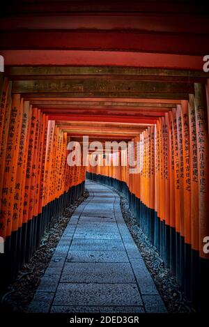 Senbon torii Pfad, Fushimi Inari-taisha Tempel, Patron der Landwirtschaft und des Geschäfts, errichtet in der Heian Periode, Kyoto, Japan Stockfoto