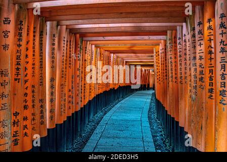 Senbon torii Pfad, Fushimi Inari-taisha Tempel, Patron der Landwirtschaft und des Geschäfts, errichtet in der Heian Periode, Kyoto, Japan Stockfoto