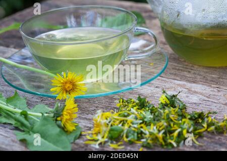 Löwenzahn-Tee, Löwenzahntee, Tee aus Löwenzahnblüten, Heiltee, Kräutertee, Blütentee, Löwenzahnblüten-Tee, Löwenzahn-Blüten, Blüten, Löwenzahn, Wiesen Stockfoto