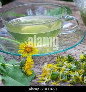 Löwenzahn-Tee, Löwenzahntee, Tee aus Löwenzahnblüten, Heiltee, Kräutertee, Blütentee, Löwenzahnblüten-Tee, Löwenzahn-Blüten, Blüten, Löwenzahn, Wiesen Stockfoto