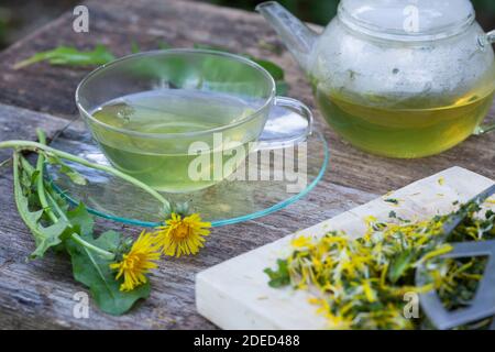 Löwenzahn-Tee, Löwenzahntee, Tee aus Löwenzahnblüten, Heiltee, Kräutertee, Blütentee, Löwenzahnblüten-Tee, Löwenzahn-Blüten, Blüten, Löwenzahn, Wiesen Stockfoto