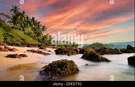 Lange Belichtung. Schönen und erholsamen Strand von grünen Palmen bei Sonnenuntergang flankiert. Cochin, Kerala, Indien. Stockfoto