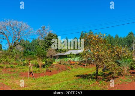 Kleinlandwirtschaft im Dorf Montecarlo am Fluss Paraná, Provincia Misiones, Argentinien, Lateinamerika Stockfoto