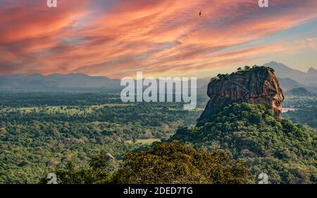 Spektakuläre Aussicht auf den Löwenfelsen, umgeben von üppiger Vegetation. Foto vom Pidurangala Rock in Sigiriya. Stockfoto