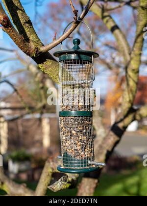 Vogelsaatkasten auf dem Baum für die Gartenvögel Stockfoto