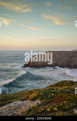 Sonnenuntergang über Klippen mit wilden Blumen Sagres Porugal Teppich Stockfoto