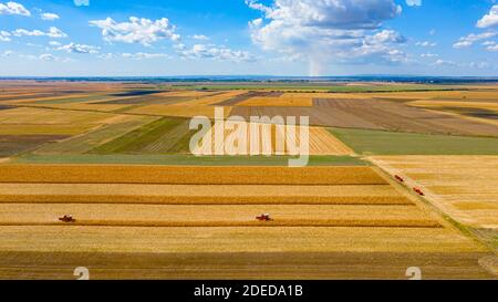Über Ansicht über landwirtschaftliche Felder, bebaute Parzellen in der Erntezeit, zwei Erntemaschinen ernten reifen Mais, schönen blauen Himmel mit weißem Fluf Stockfoto
