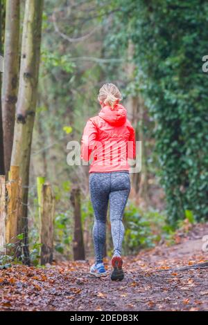 Kidderminster, Großbritannien. November 2020. UK-Wetter: Als die meteorologische Herbstsaison mit einem weiteren grauen, düsteren und düsteren Tag zu Ende geht, eine hell gekleidete Läuferin (deutlich 'in der Pink'!) Erhellt die düstigen Aussichten für diejenigen, die sich in einem Wald in Worcestershire wagen. Kredit: Lee Hudson/Alamy Live Nachrichten Stockfoto