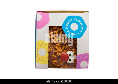 Rudolph der Rotnasen-Donut in der frischen Kiste aus der Bäckerei Bei Marks & Spencer isoliert auf weißem Hintergrund - Rentier Donut für Weihnachten Stockfoto