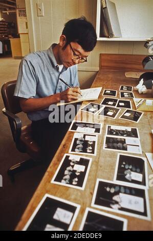 1970er-Fotos (1972) - Ron Oshima; Kalifornien Abteilung für Landwirtschaft; Arbeiten mit Fotos von beschädigten Pflanzen im landesweiten Forschungszentrum für Luftverschmutzung Stockfoto